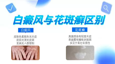 身上有小米粒大的白点