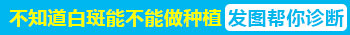 治疗白癜风前需要查病源吗